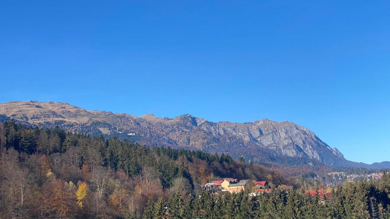 Perfect View Apartment Sinaia Exterior foto